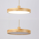 Modern Living Room Wooden Ceiling Hanging Light