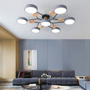 Modern Round Low Ceiling Light For Living Room