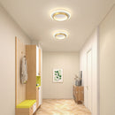 Art Deco Acrylic LED Ceiling Lights For Living Room