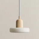 Colorful Simple Pendant Lights
