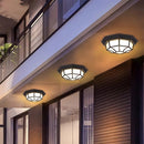 IP65 Outdoor Rustic Ceiling Light Suitable for both wall and ceiling mounting