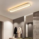 Minimalism Art Deco LED Ceiling Light