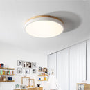 Living Room LED Ceiling Lights