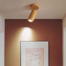 Morden Adjust LED Spotlight Hallway Track Lighting