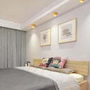 Set of 2 Small Flush Ceiling Lighting Macaron Finish Ceiling Lamp for hallway