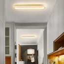 Minimalism Art Deco LED Ceiling Light