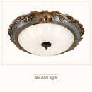 Resin Flush Mount Modern Ceiling Lighting