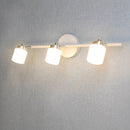 Modern Simple Hardware Long Light Bathroom LED Wall Light, Picture Light