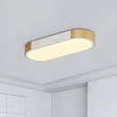 Modern Chic Iron Living Room Flush LED Ceiling Light