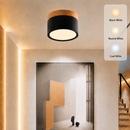 Cylinder Small Flush Ceiling Lights