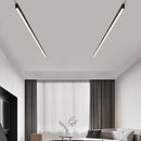 Minimalist Long Strip Flush Ceiling Light