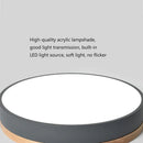 Modern LED Flush Mount Ceiling Light