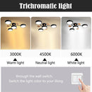 Modern Semi Flush Ceiling Lights for Bedroom, Living room