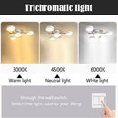 Modern Round Low Ceiling Light For Living Room