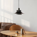 Modern Black Aluminum Art Pendant Light