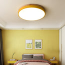 Modern LED Flush Mount Ceiling Light