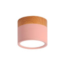 Set of 2 Small Flush Ceiling Lighting Macaron Finish Ceiling Lamp for hallway