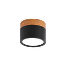 Cylinder Small Flush Ceiling Lights