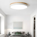 Modern LED Flush Mount Ceiling Light