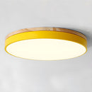 Modern LED Flush Mount Ceiling Light