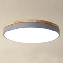 Modern LED Flush Mount Ceiling Light