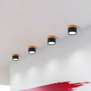 Set of 2 Small Flush Ceiling Lighting Macaron Finish Ceiling Lamp for hallway