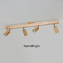 Large LED Track Lighting Hallway Track It Light