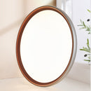 Minimalist Led Ceiling Light