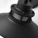 IP65 Waterproof Black Metal Cage Light Outdoor Pendant Lighting