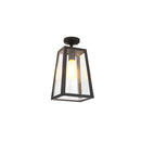 IP65 Vintage Outdoor Ceiling Lights in Black