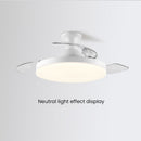 Simple Low Profile Bedroom Ceiling Fan With LED Light