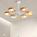 Modern Eco-friendly Ceiling Lamp For Living Room
