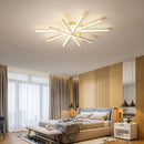 Nordic Minimalist Metal Creativity LED Ceiling Light