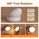 Contemporary Motion Sensor Light