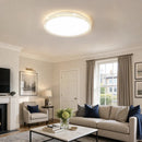 Minimalist Acrylic LED Ceiling Lights for Bedroom Living Room
