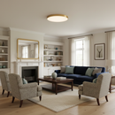 Energy Efficient LED Flush Ceiling Lights for Bedroom and Living Room