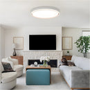 Simple Minimalist Ultra-thin Flush Ceiling Lamp