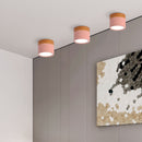 Set of 2 Small Flush Ceiling Lighting Macaron Finish Ceiling Lamp for hallway