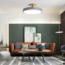 Simplicity Round Flush Mount Ceiling Light