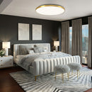 Living Room Minimalism Ceiling Light