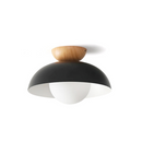Modern Nordic Minimalist Eco-friendly Ceiling Light