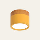 Set of 2 Small Flush Ceiling Lighting Macaron Finish Ceiling Lamp for hallway