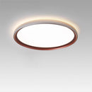 Minimalist Led Ceiling Light