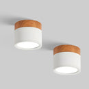 Set of 2 Small Flush Ceiling Lighting Macaron Finish Ceiling Lamp for hallway