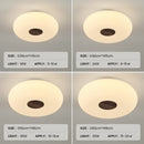 Wabi-Sabi Acrylic LED Bed Room Ceiling Lights