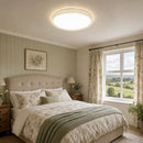 Minimalist Acrylic LED Ceiling Lights for Bedroom Living Room