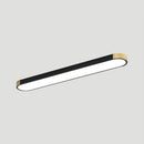Modern Chic Iron Living Room Flush LED Ceiling Light