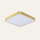 Chic Gold Iron LED Bedroom Ceiling Lights