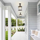 IP65 Vintage Outdoor Ceiling Lights in Black