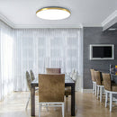 Living Room Minimalism Ceiling Light